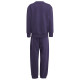 Adidas Παιδικές φόρμες σετ Essentials Fleece Big Logo Joggers Set Adidas Παιδικές φόρμες σετ Essentials Fleece Big Logo Joggers Set